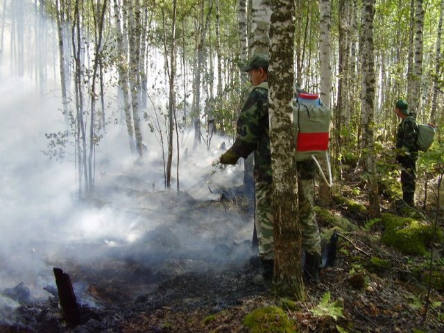 Заводчане на пожарах 2010 года